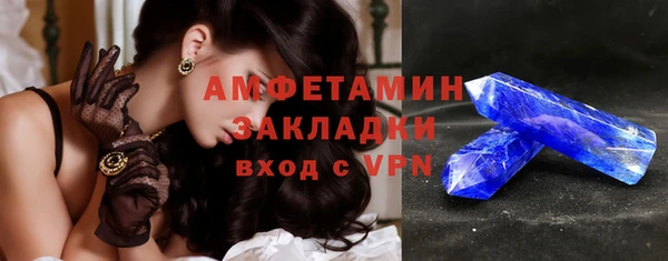 трава Новозыбков