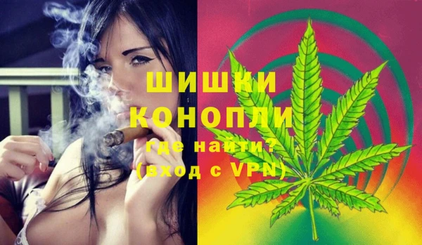 гашик Новокубанск