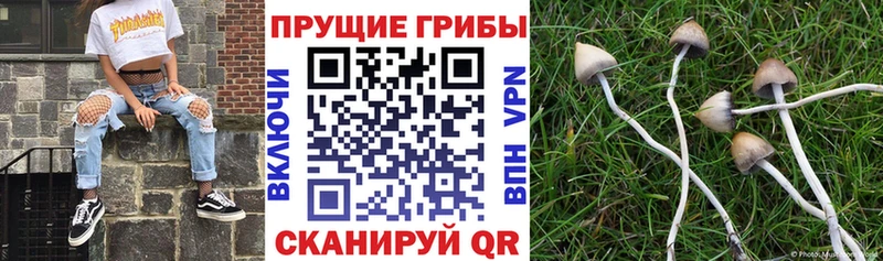 Псилоцибиновые грибы Magic Shrooms  Ялта 